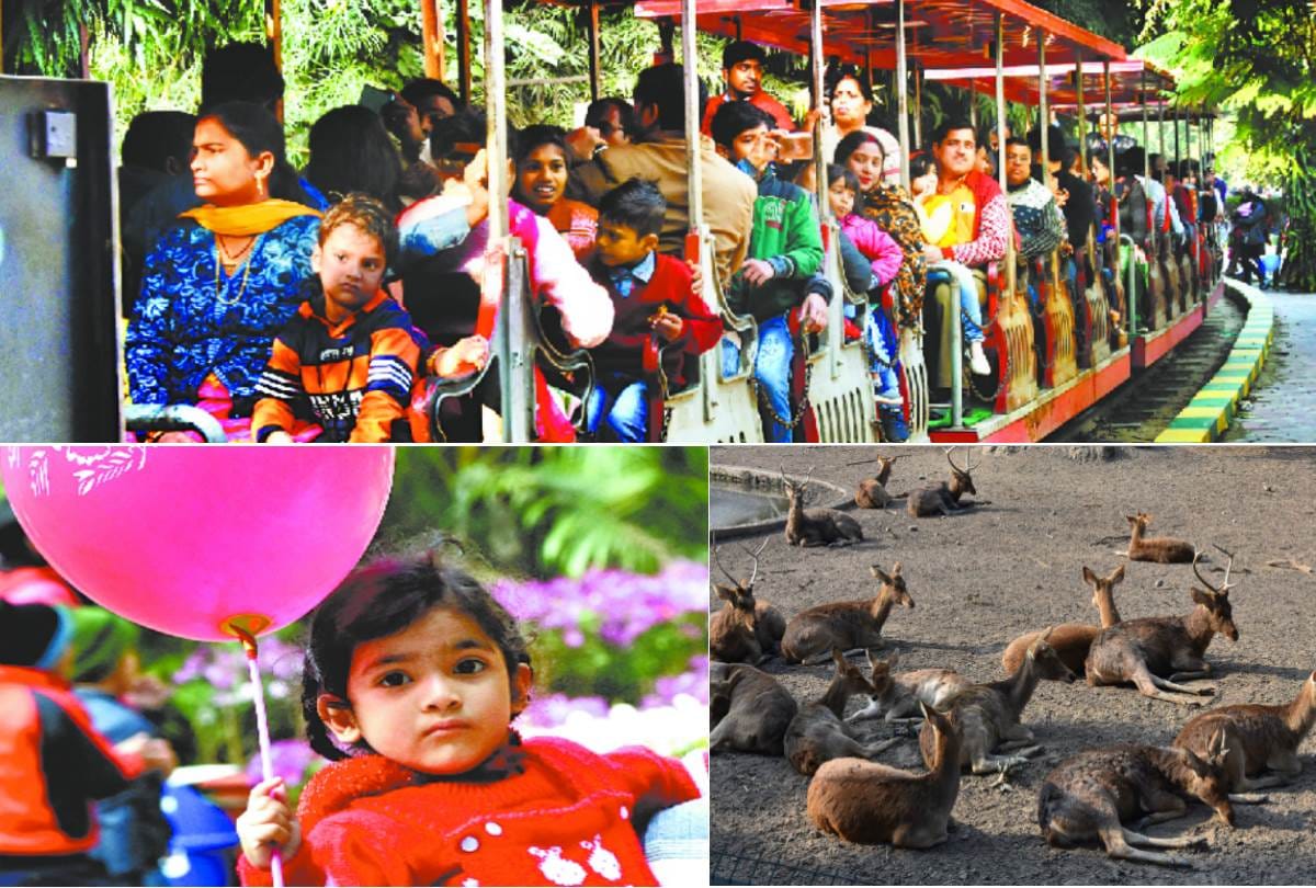 many people visited lucknow zoo