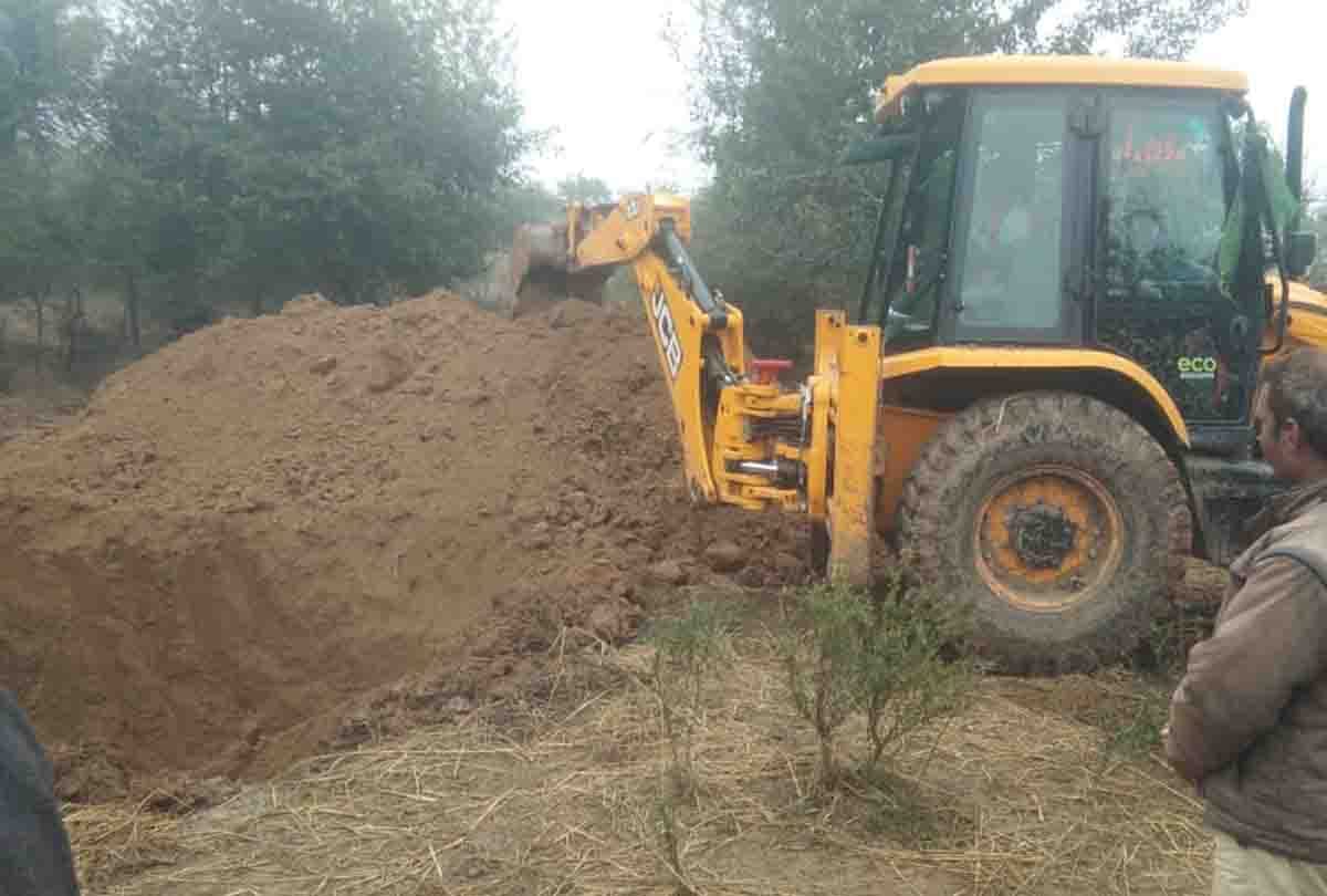 21 cow breeds killed after breaking the tension of high-tension line