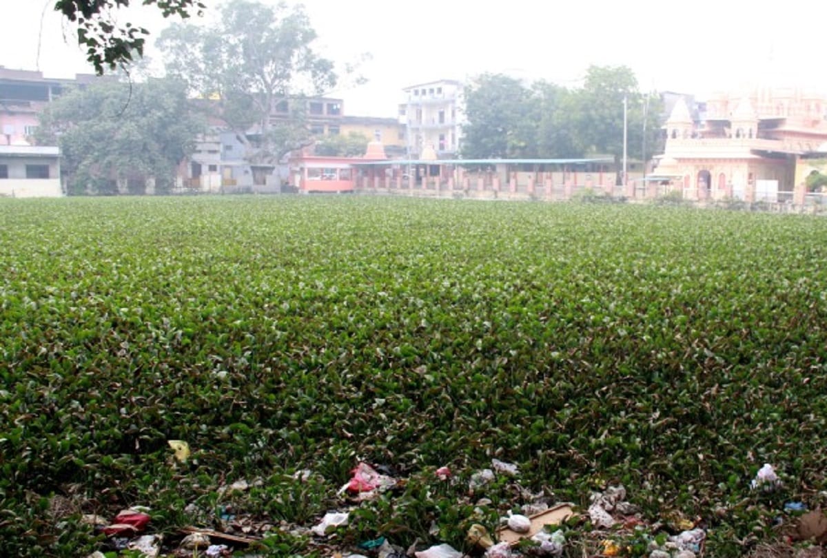 pani wali dharmashala will be developed as picnic spot in five crores