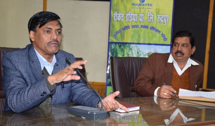 Maize cultivation beneficial instead of out of paddy