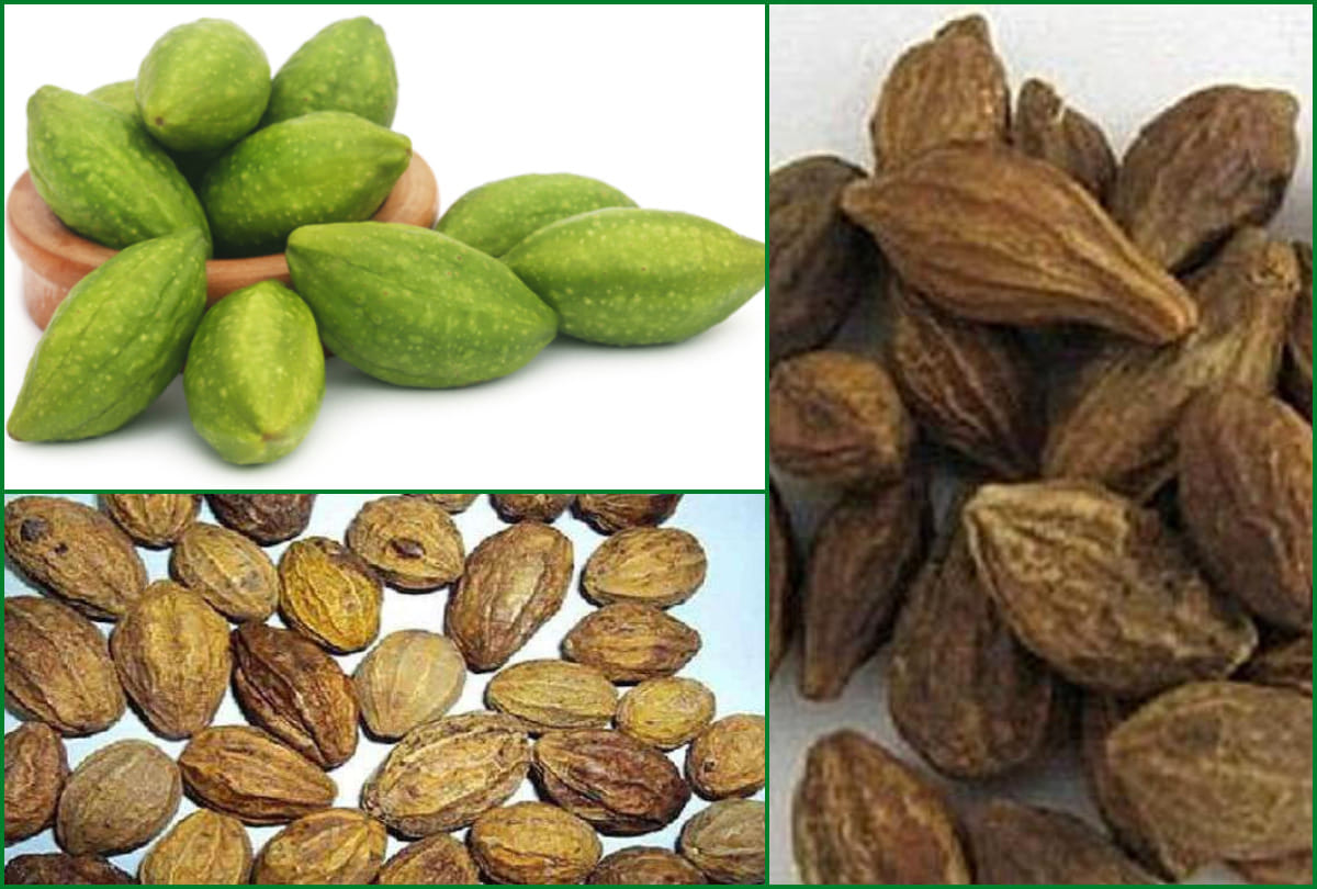harad health benefits digestion to piles