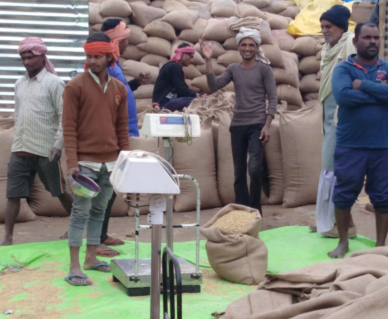Hailahwali in purchase, farmers selling paddy to middlemen