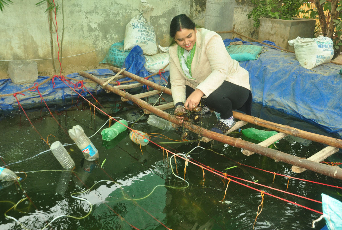 pearl farming in agra
