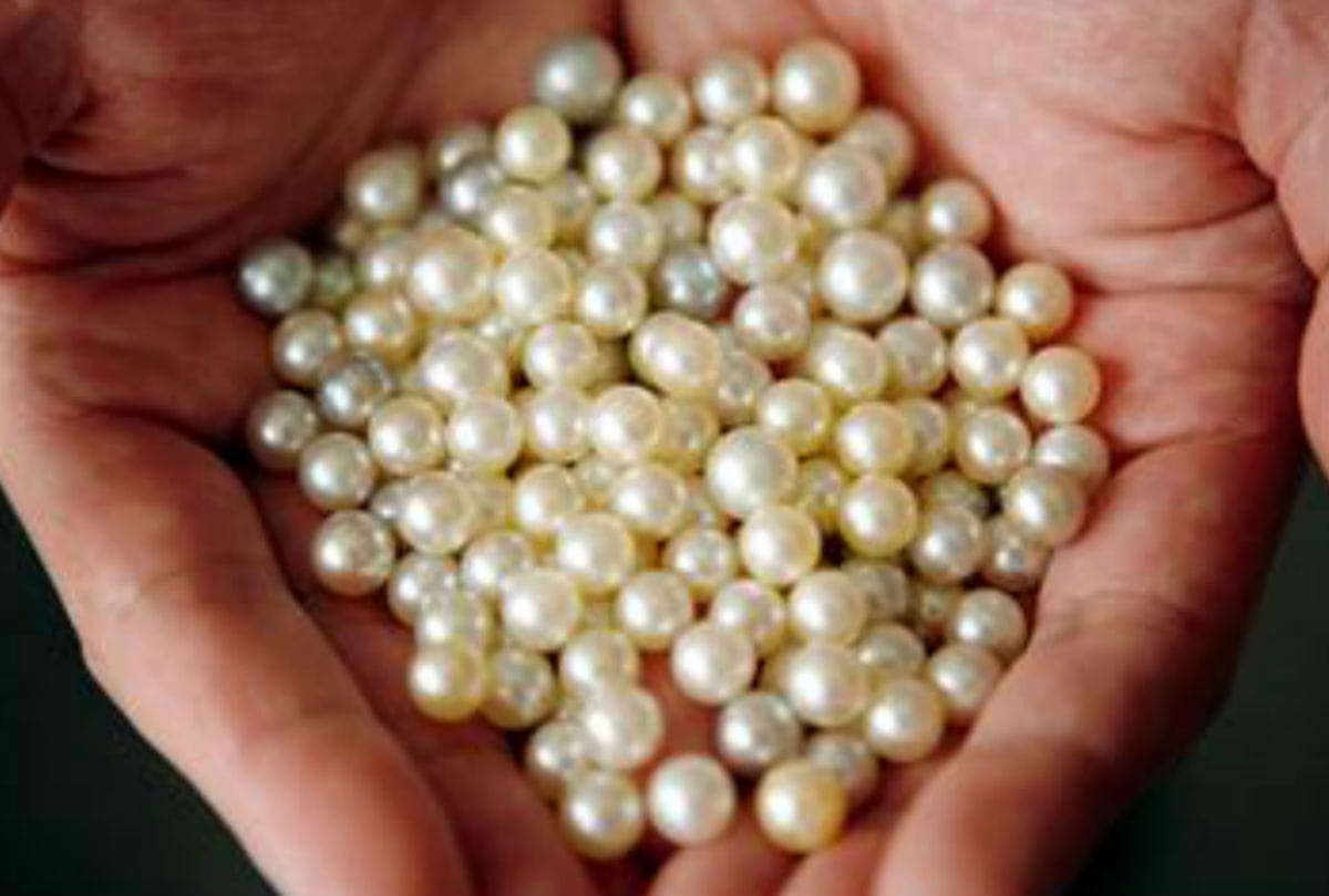 Pearl Stone Benefits Know Who Can Wear Moti Gemstone And What Its Benefits And Side Effects in hindi