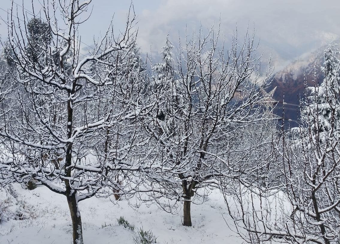 snowfall in rampur