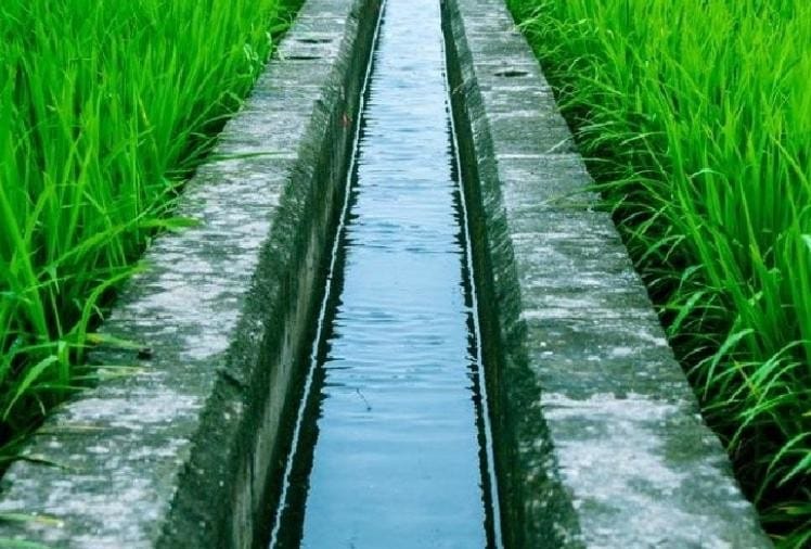 Tubewell Connection Will Not Issue Without Micro Irrigation System In