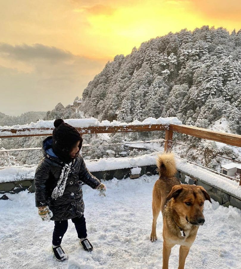 Ms Dhoni Enjoy Snowfall with jeeva and Family in Mussoorie See Beautiful Photos