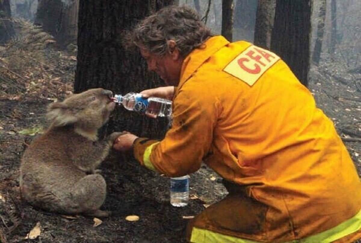Bollywood Actress Juhi Chawla son donates Rs 28000 to Australian bushfire relief from pocket money