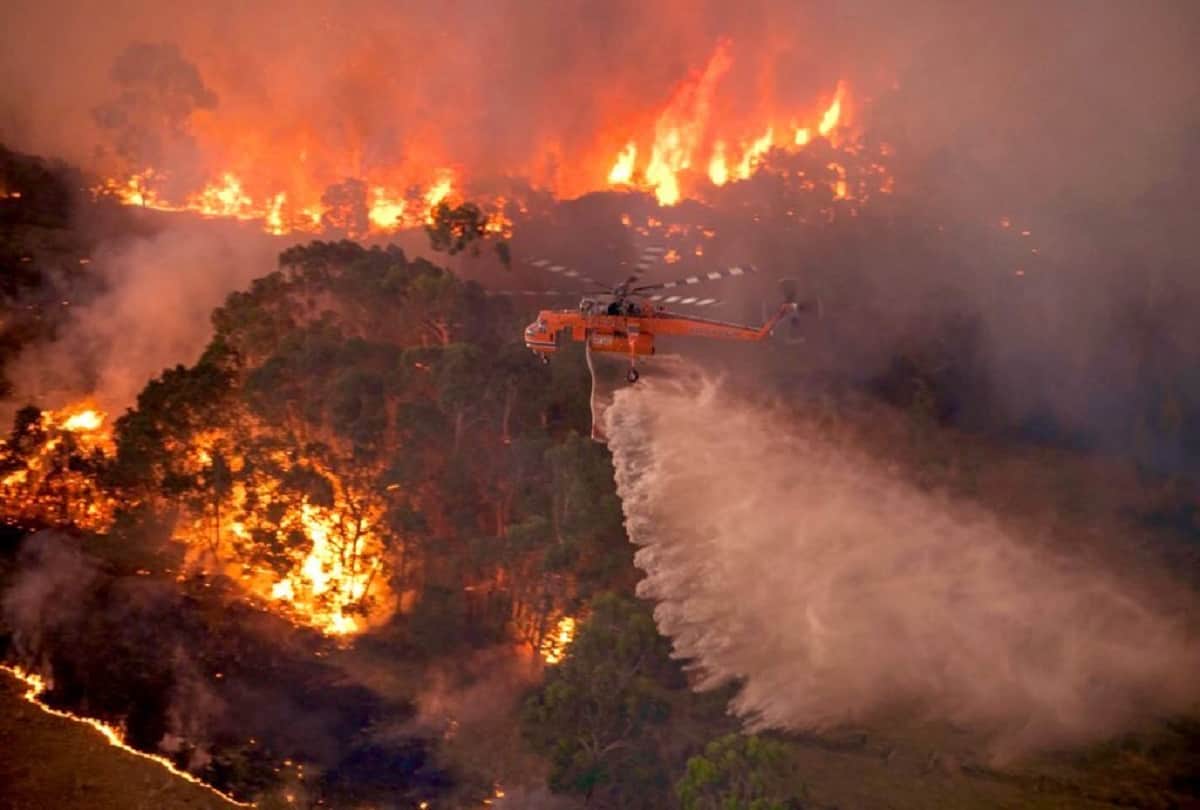 Bollywood Actress Juhi Chawla son donates Rs 28000 to Australian bushfire relief from pocket money