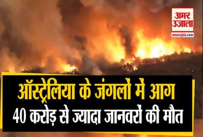 massive wild fire in australia pm scott morrison postpones india visit