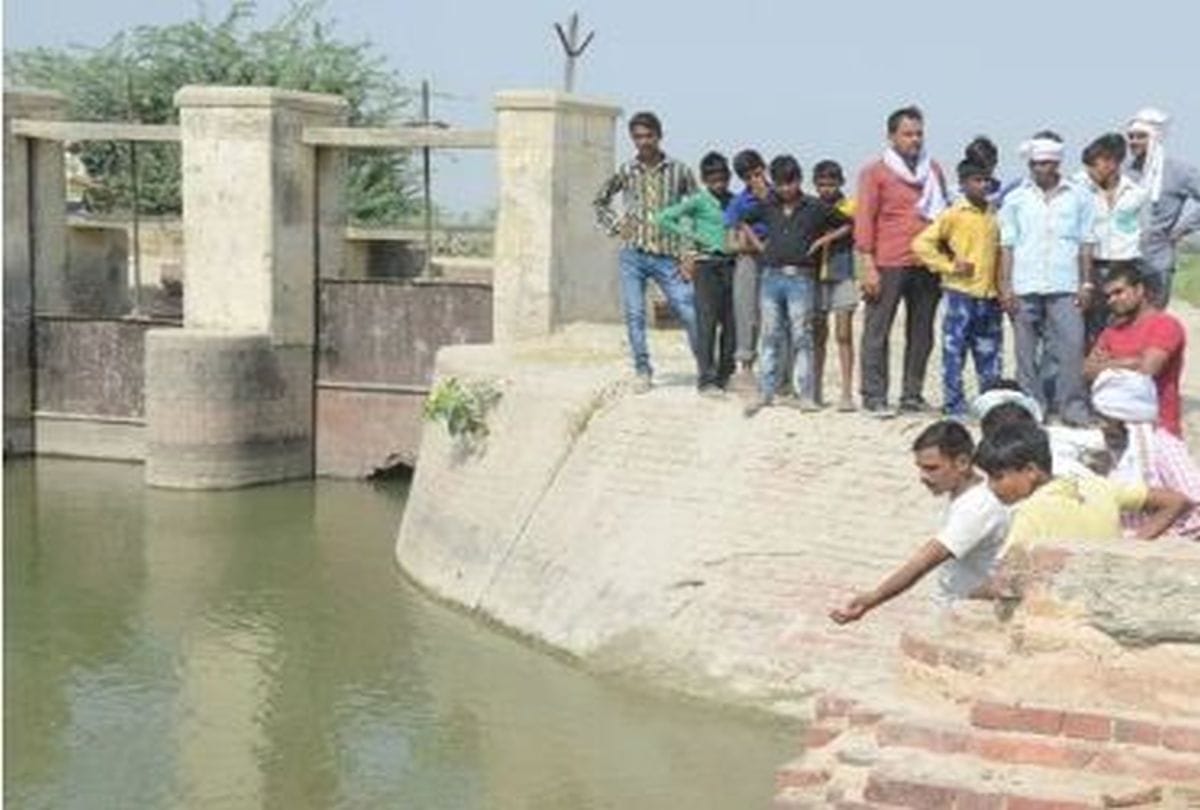crocodiles take sunbathe near hajara canal in etah
