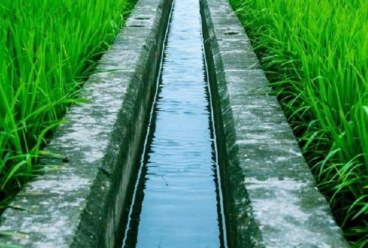 Tubewell connection will not Issue without micro irrigation system in Haryana