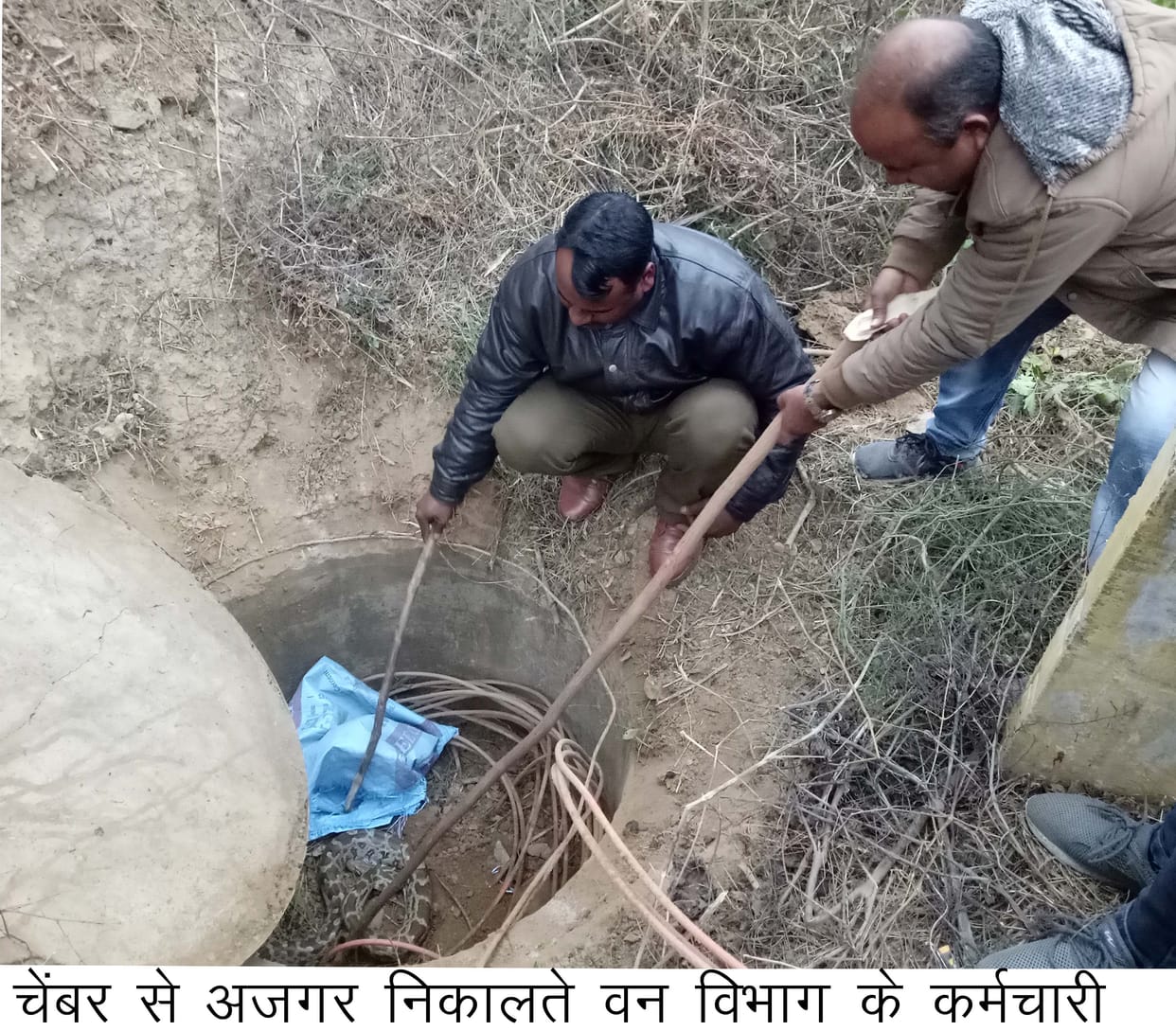 kanpur dehat snake
