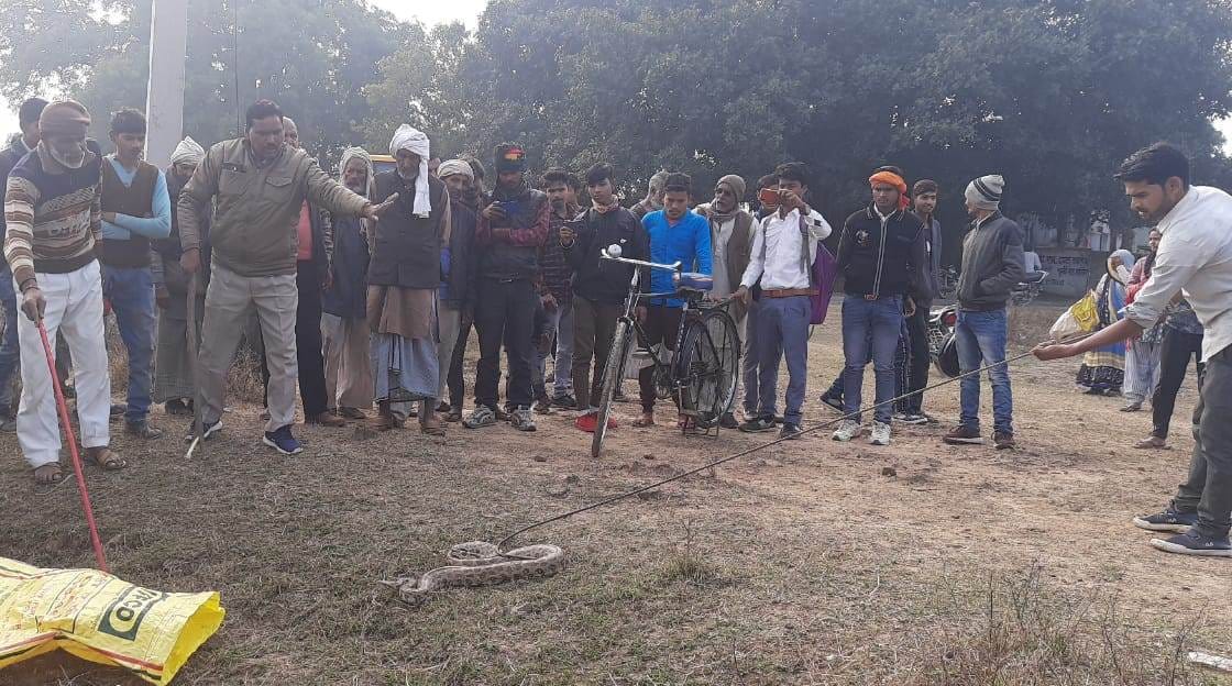 Stunned by seeing dragon, forest department team caught