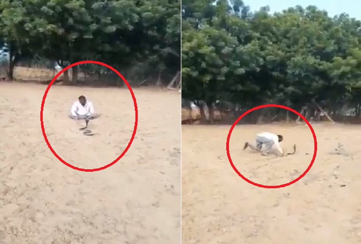 Drunk man playing with a poisonous snake video viral on social media