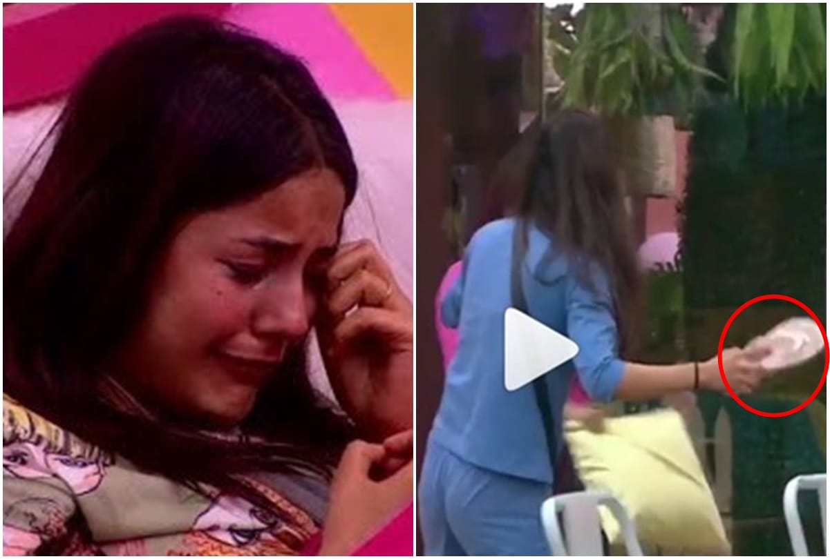Bigg Boss 13 Shehnaz Gill Madhurima Tuli And Shefali Bagga Pillow and Chappal Fight Video Viral