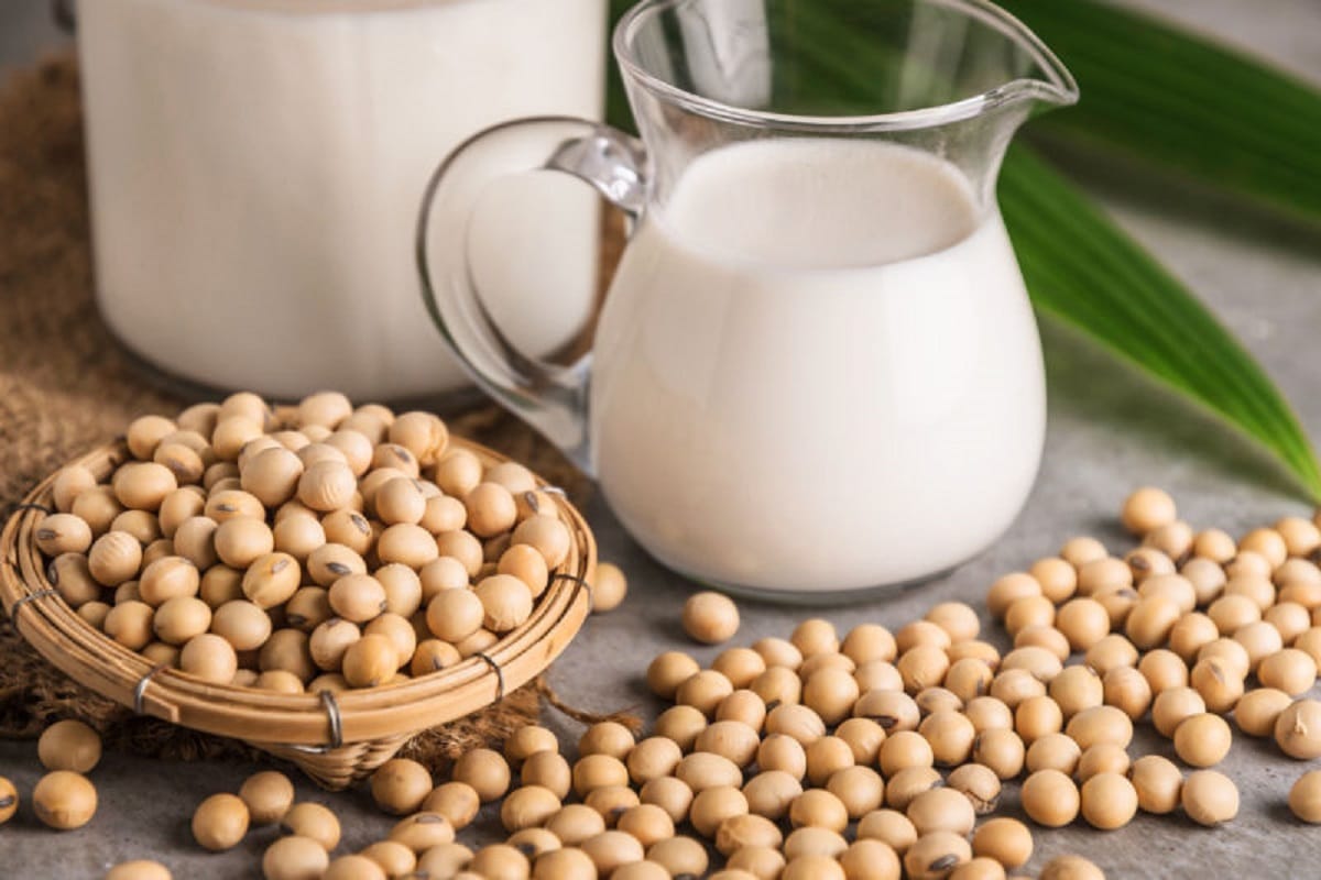 vitamin b 12 deficiency diet plan increases red blood cell in hindi,