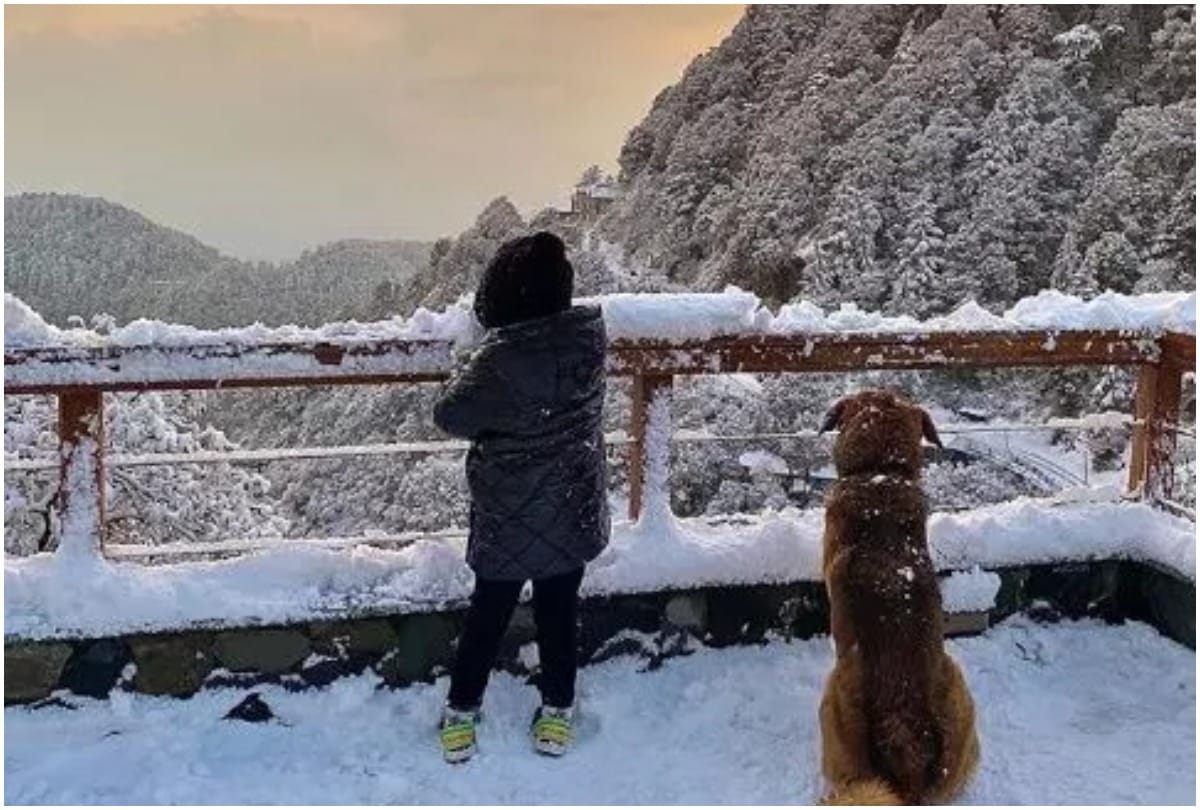 MS Dhoni Makes Snowman With Ziva Sakshi Shares Live Video On Instagram Watch