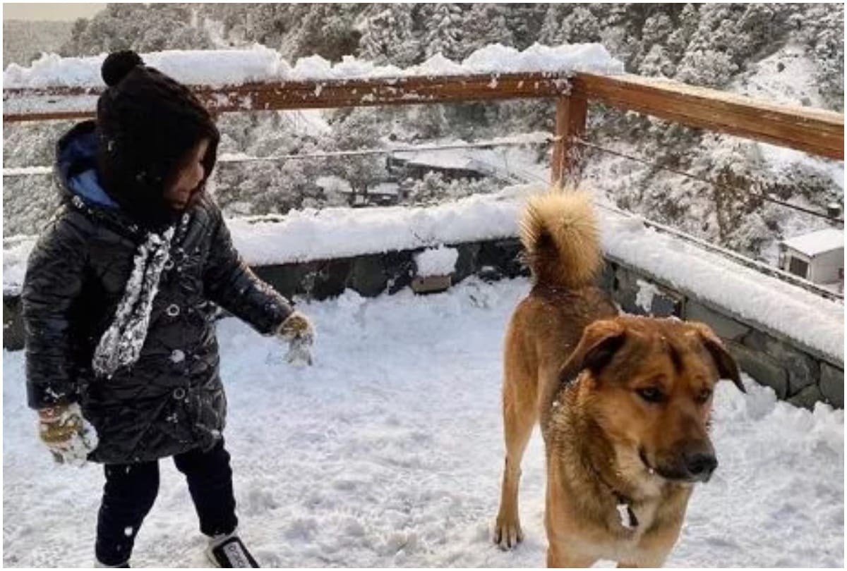 MS Dhoni Makes Snowman With Ziva Sakshi Shares Live Video On Instagram Watch