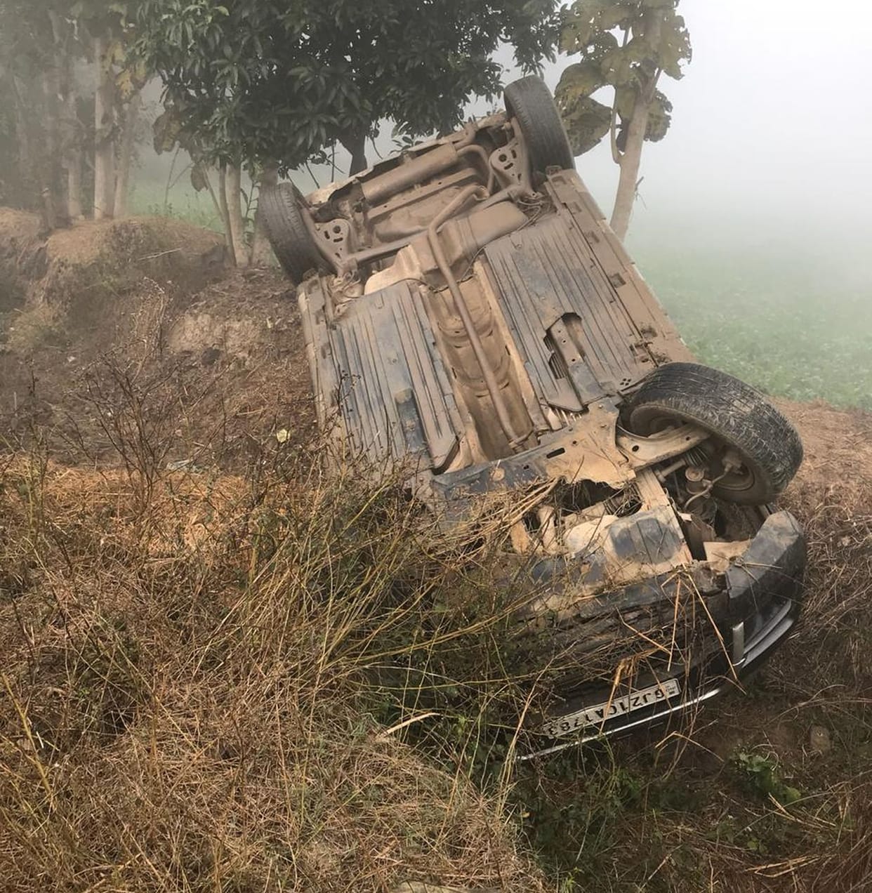 Car fell into the ditch to save the animal, driver injured