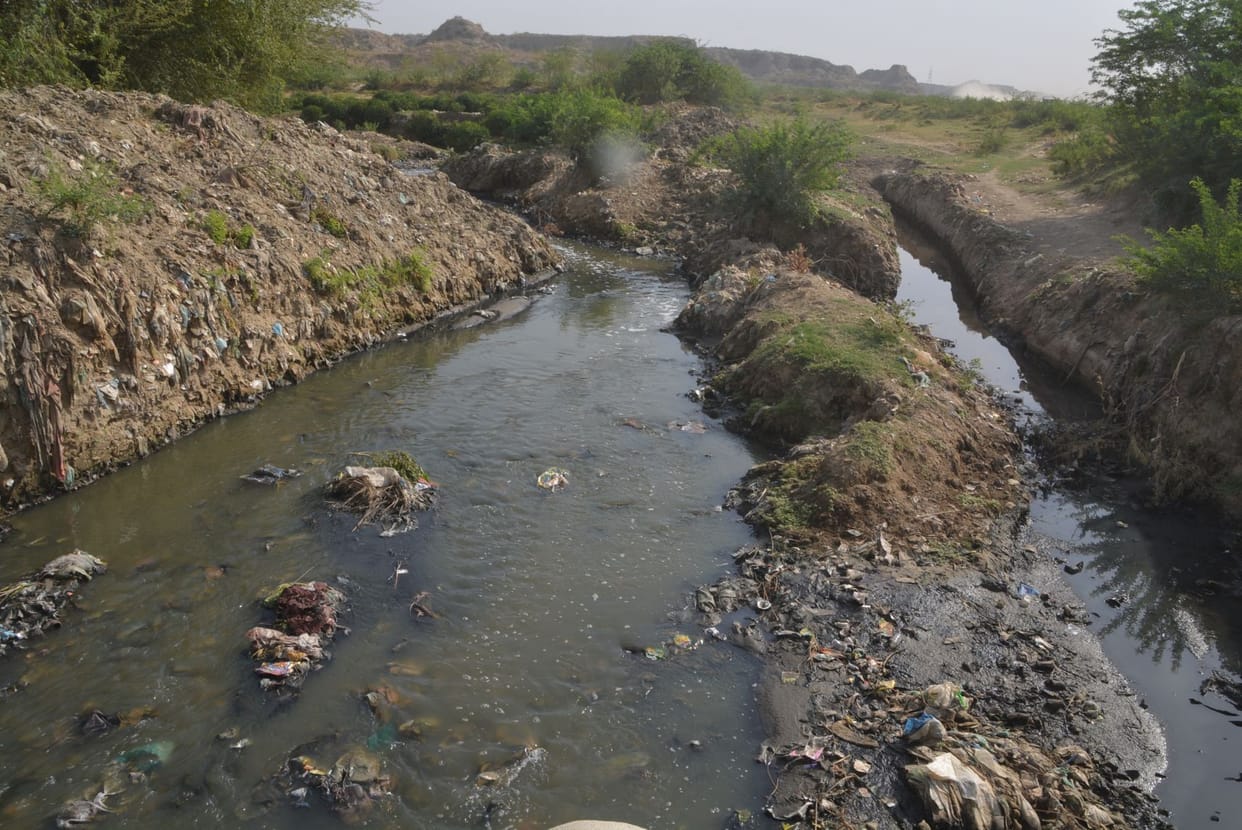 yamuna