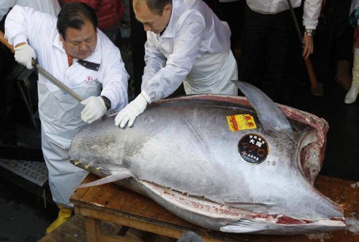 A bluefin tuna weighing 276 kilograms was sold for 13 crore at Tokyo fish market