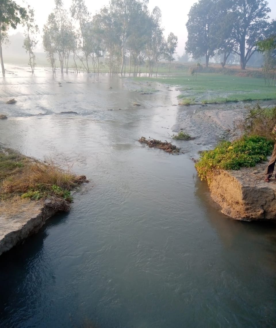 crop water logged due to rajbaha break