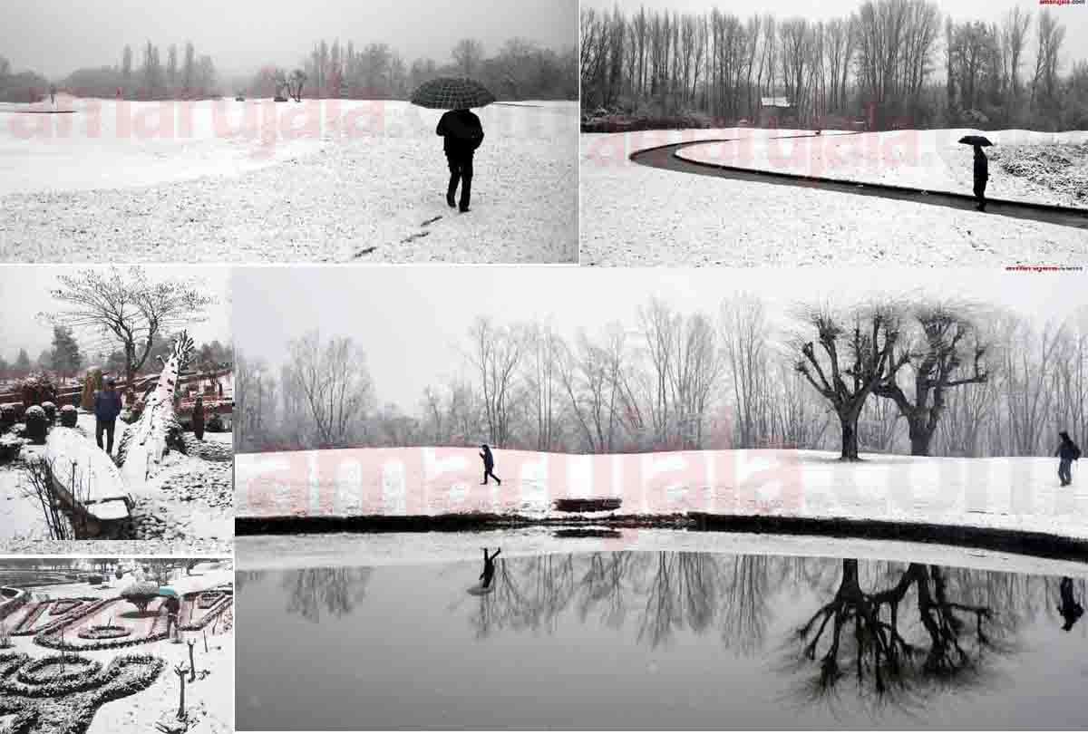 irctc budget friendly tour package kashmir tour package cheapest tour package to visit kashmir