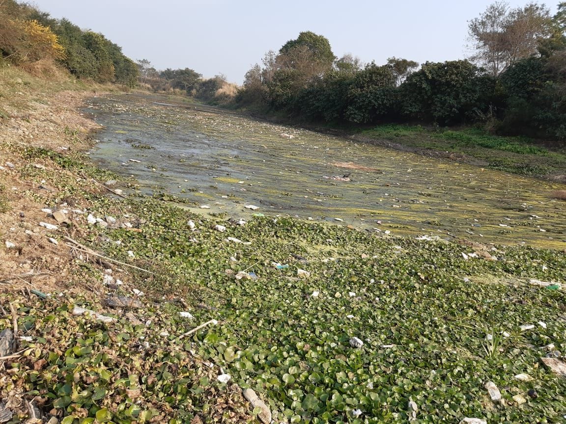 Seraian river like drain, crisis on existence
