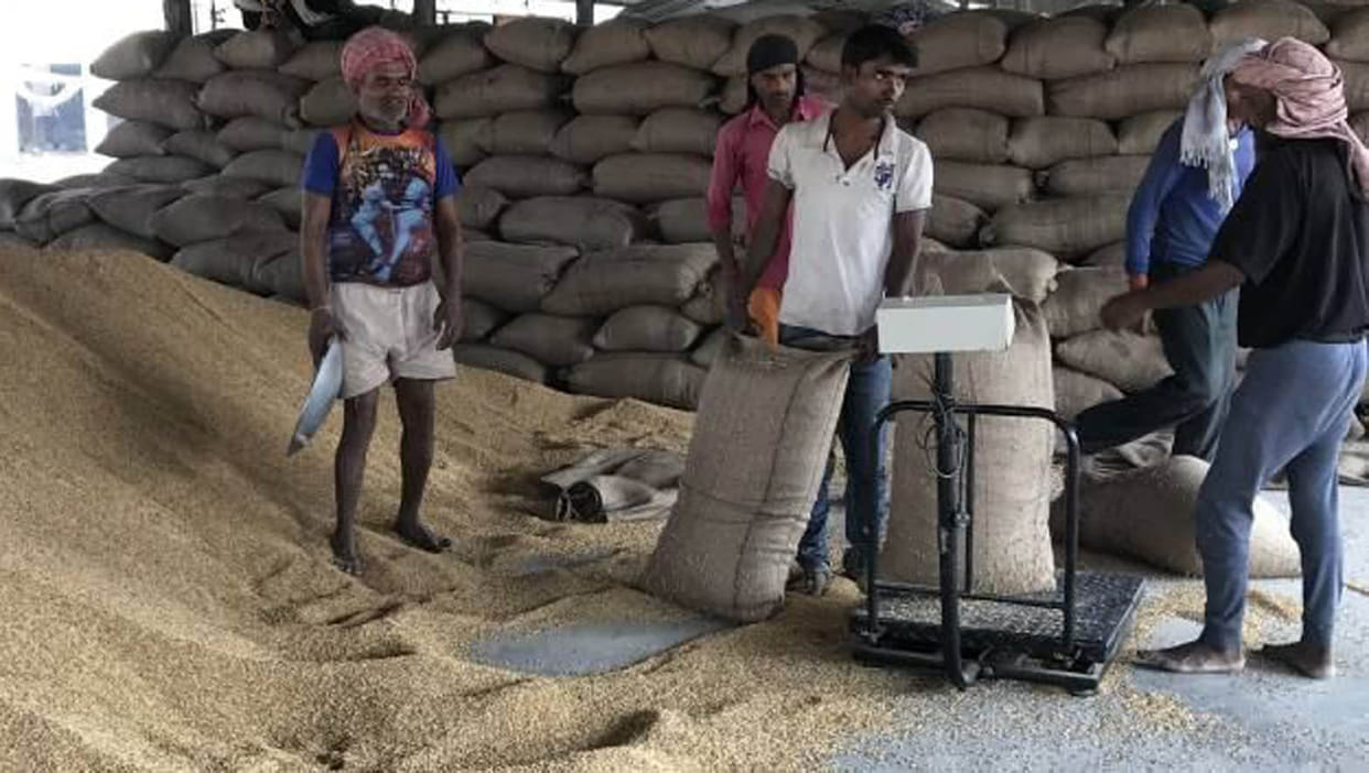 Paddy produced through hard work, stalled payment of 10 crores