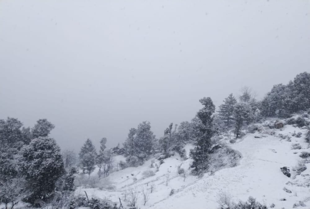 Snowfall Covered Uttarakhand All Hilly Area See Awesome Visuals