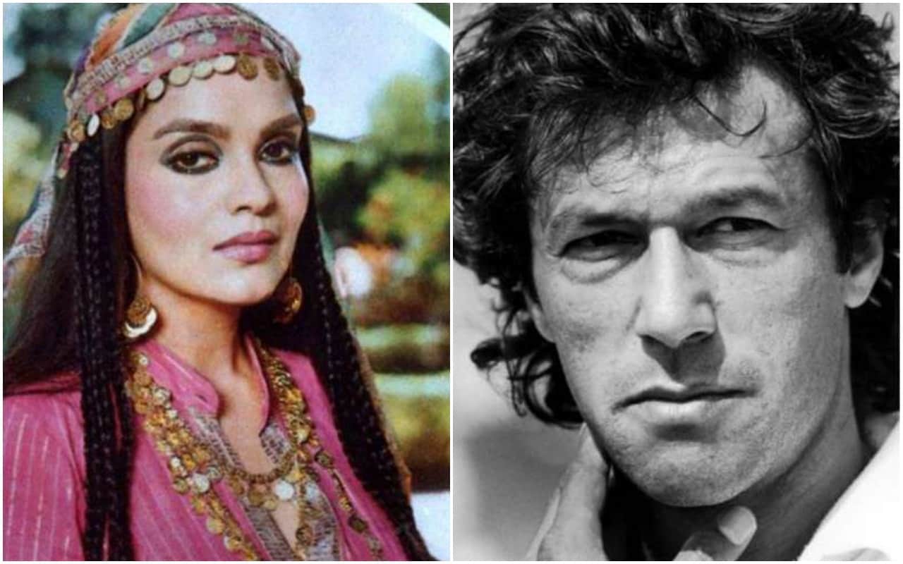 Bollywood and pakistani cricketers Love Story Like Reena roy and mohsin khan