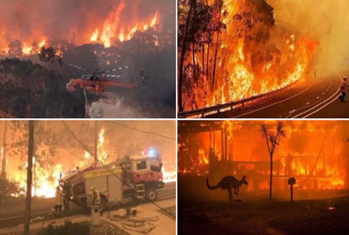Bollywood Actress Juhi Chawla son donates Rs 28000 to Australian bushfire relief from pocket money