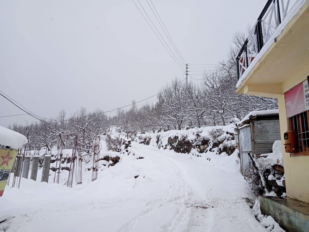 Snowfall