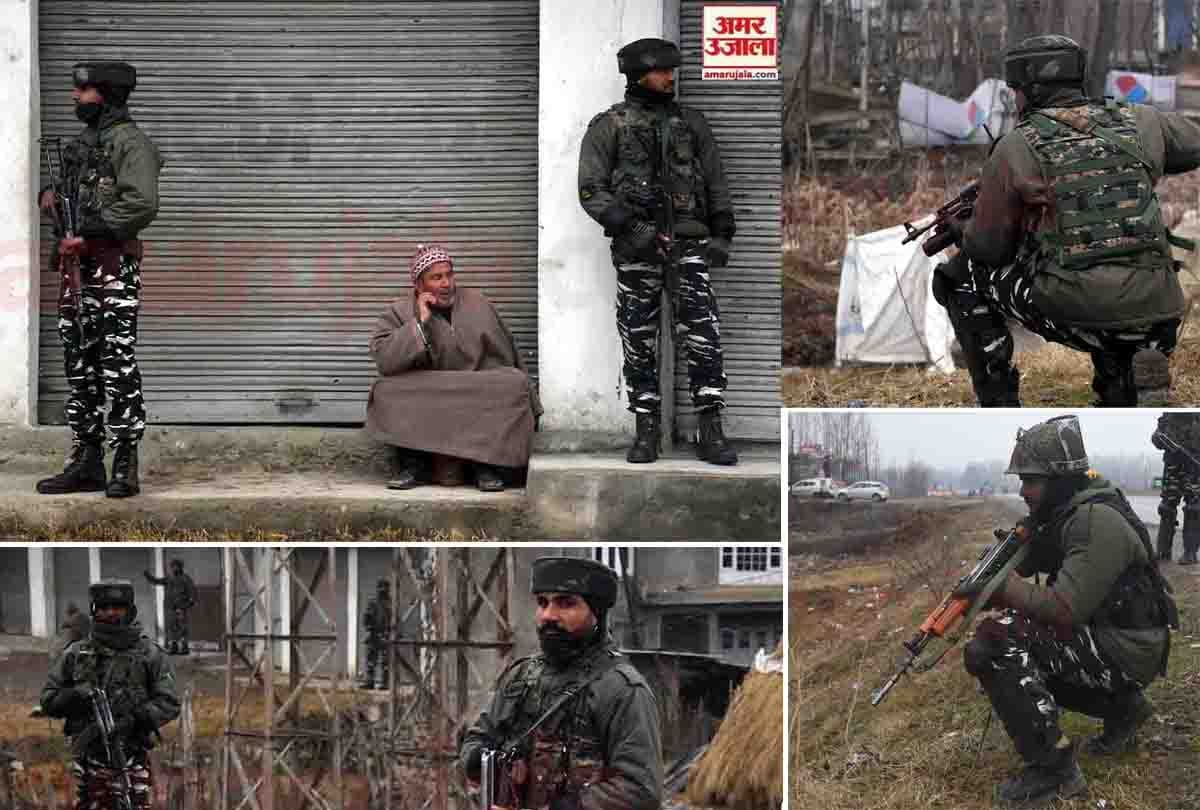 Security forces killed Hizbul terrorist in Anantnag encounter