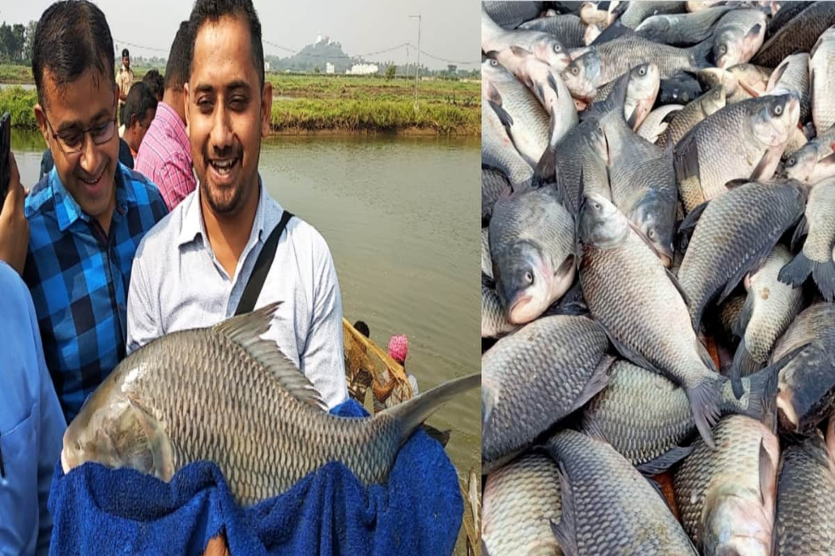 Kapil Rana of Baghpat motivates farmers for fisheries