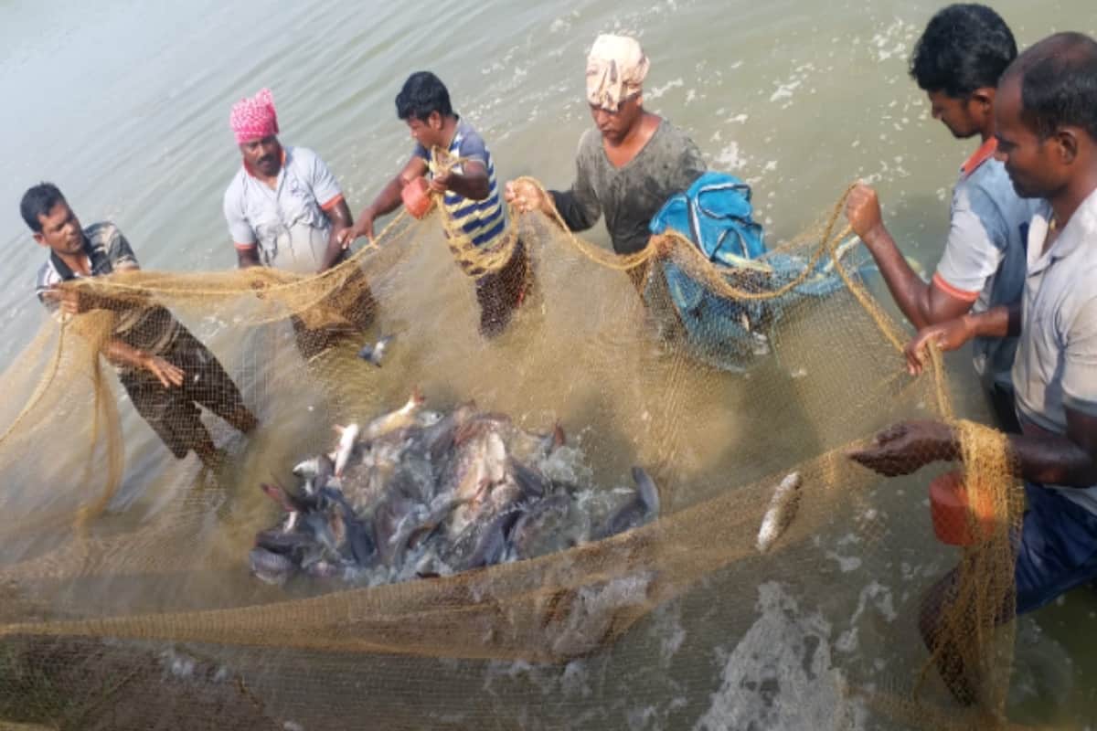 Kapil Rana of Baghpat motivates farmers for fisheries