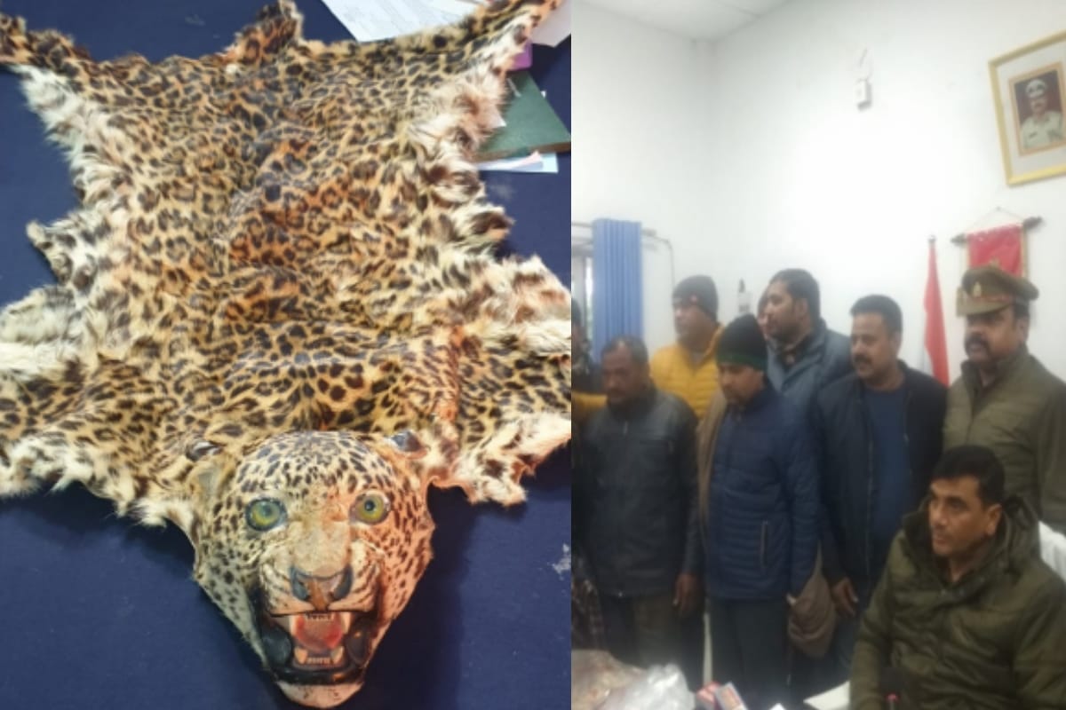 Three smugglers caught with leopard skin in Saharanpur, one absconding