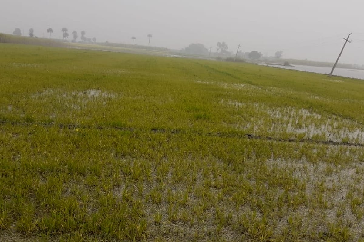 Weather update: rain in many district in western UP