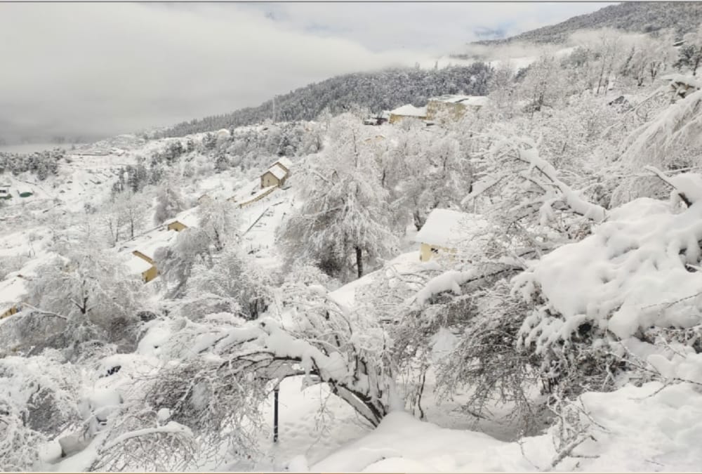 Tourists Enjoy Fresh SnowFall in Mussoorie and Dhanaulti See uttarakhand Awesome View