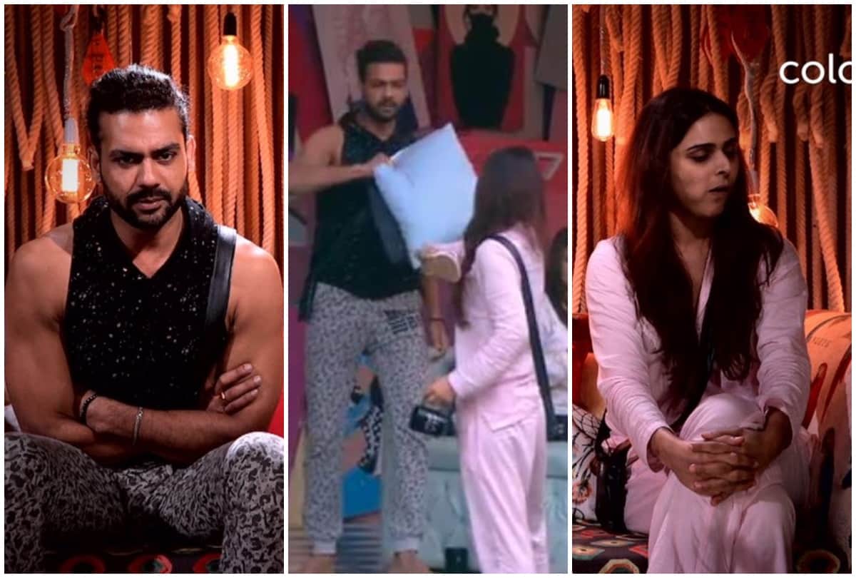 Bigg Boss 13 Vishal Aditya Singh missing Madhurima Tuli says  I Am Deeply In Love With Her