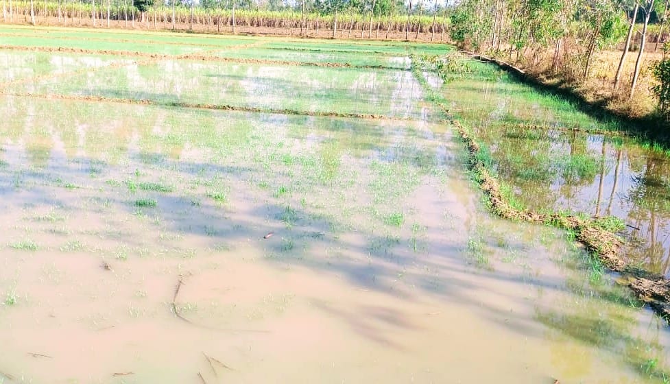 Work stopped due to rain, farmers upset