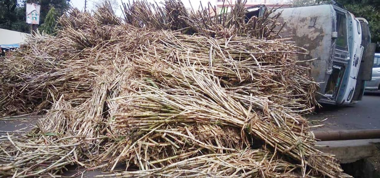 overload sugercane truck overturn