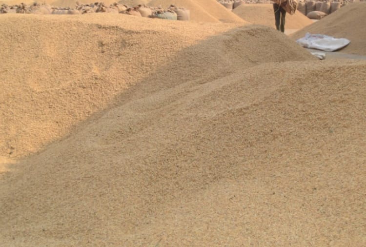 42589 MT paddy scam in 1207 rice mills of Haryana