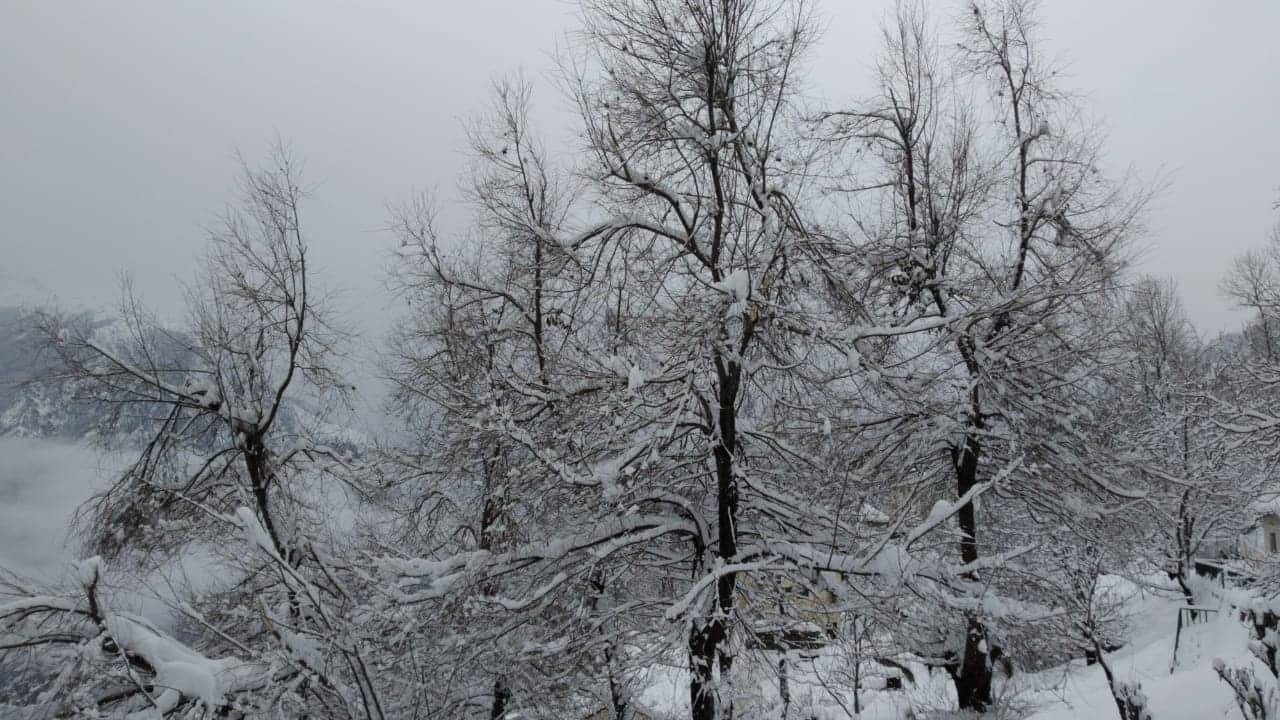 heavy snowfall in auli exclusive beautiful photos