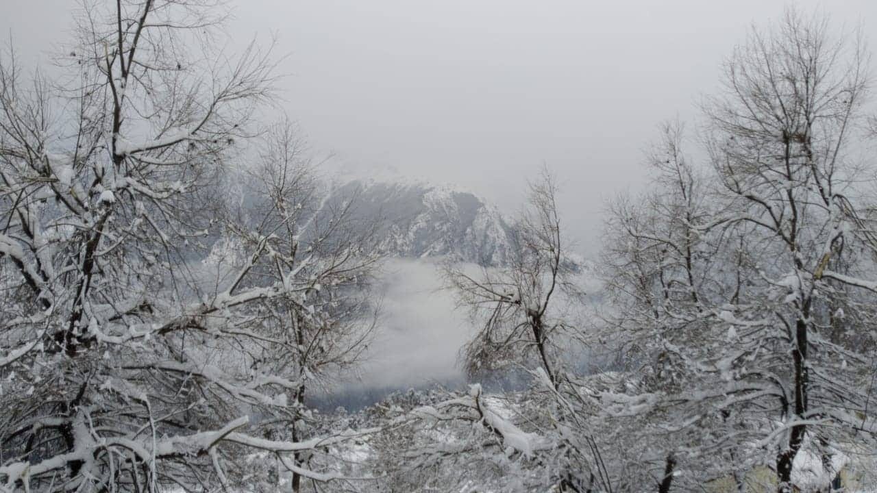 heavy snowfall in auli exclusive beautiful photos