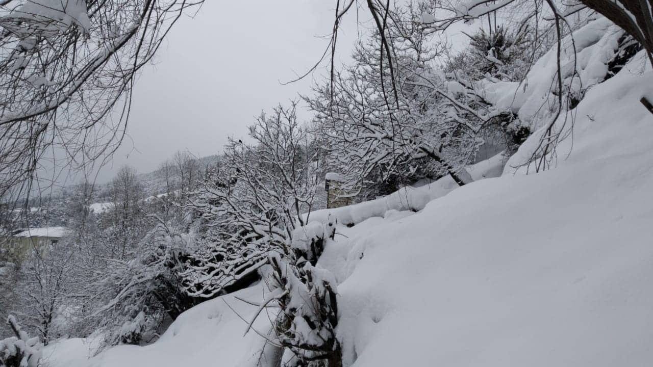 heavy snowfall in auli exclusive beautiful photos