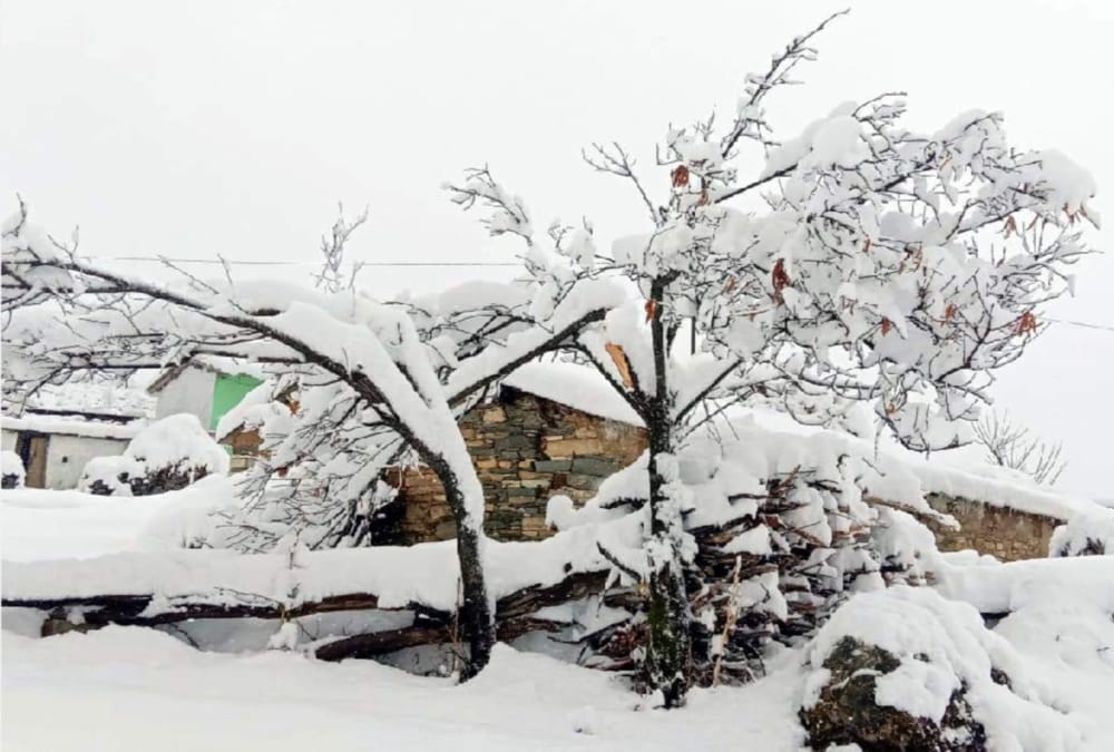 Snowfall covered 330 villages and 50 roads Blocked in uttarakhand Photos