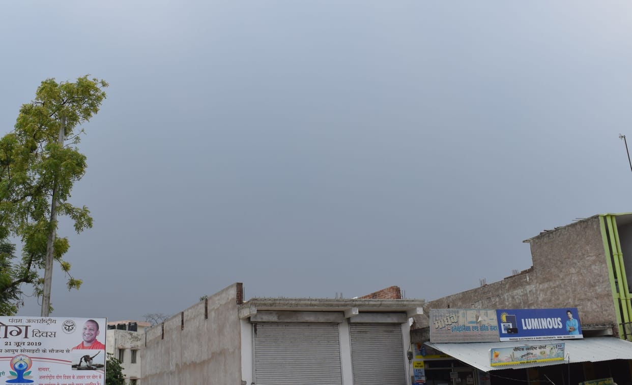 wether disturbance