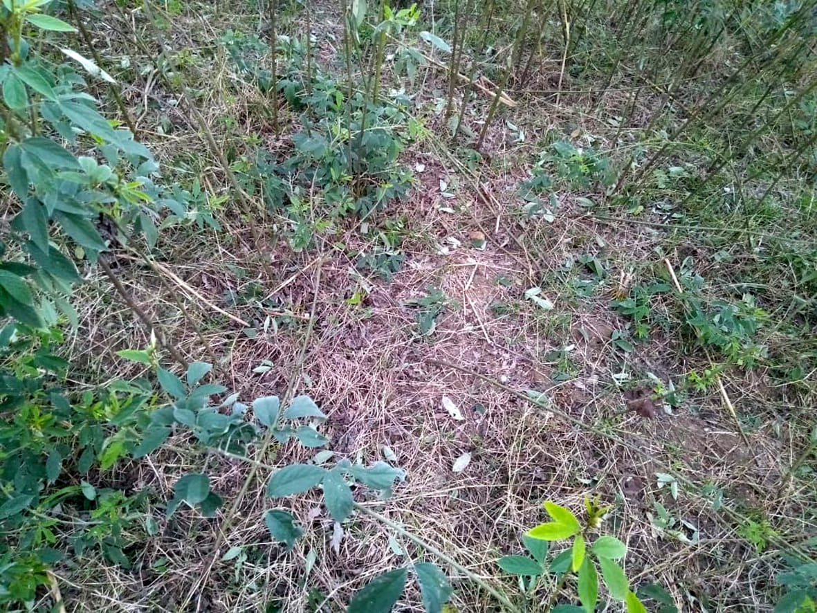 Chitrakoot: Hundreds of bigha crops destroyed due to hailstorm in many villages
